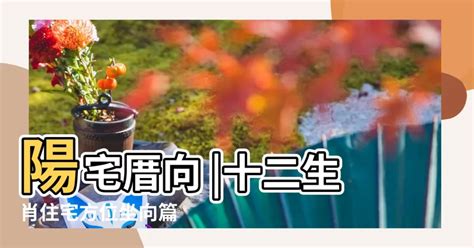 生肖買房方位|12生肖適合哪一種房屋坐向？